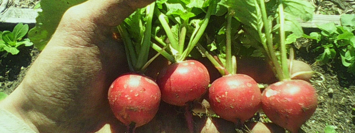 Create Abundance