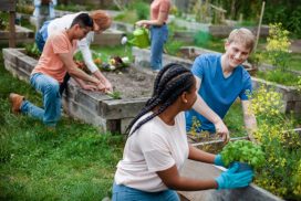 Why CES Makes Jobs Optional: The Rise of Community Work – Cape Town ...